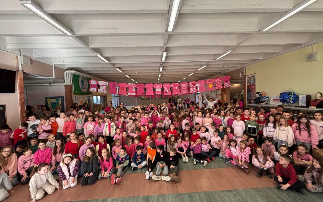 Nacionalni dan borbe protiv vršnjačkog nasilja – Dan ružičastih majica